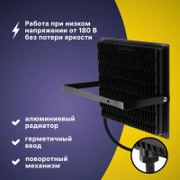 Прожектор светодиодный уличный Ritter Profi 53413 0 300 Вт 30000 Лм 180-240В холодный белый свет 6500К IP65 черный