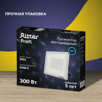 Прожектор светодиодный уличный Ritter Profi 53413 0 300 Вт 30000 Лм 180-240В холодный белый свет 6500К IP65 черный