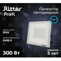Прожектор светодиодный уличный Ritter Profi 53413 0 300 Вт 30000 Лм 180-240В холодный белый свет 6500К IP65 черный