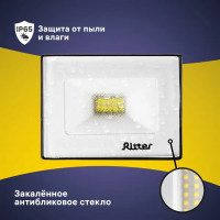 Прожектор светодиодный уличный Ritter Profi 10 Вт 2700К IP65 теплый белый свет
