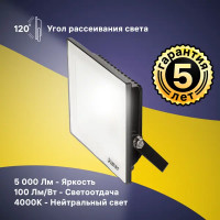 Прожектор светодиодный уличный Ritter Profi 53417 8 50 Вт 5000 Лм 180-240В нейтральный белый свет 4000К IP65 черный
