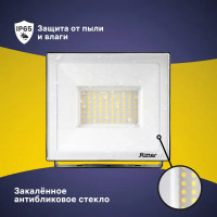 Прожектор светодиодный уличный Ritter Profi 53418 5 70 Вт 7000 Лм 180-240В нейтральный белый свет 4000К IP65 черный
