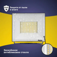 Прожектор светодиодный уличный Ritter Profi 53419 2 100 Вт 10000 Лм 180-240В нейтральный белый свет 4000К IP65 черный