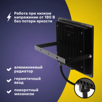 Прожектор светодиодный уличный Ritter Profi 53419 2 100 Вт 10000 Лм 180-240В нейтральный белый свет 4000К IP65 черный