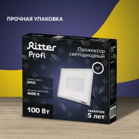 Прожектор светодиодный уличный Ritter Profi 53419 2 100 Вт 10000 Лм 180-240В нейтральный белый свет 4000К IP65 черный