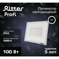 Прожектор светодиодный уличный Ritter Profi 53419 2 100 Вт 10000 Лм 180-240В нейтральный белый свет 4000К IP65 черный