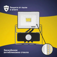 Прожектор светодиодный Ritter Profi 53420 8 20 Вт 2000 Лм 180-240 В с датчиком движения холодный белый свет 6500К IP65 черный