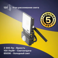 Прожектор светодиодный Ritter Profi 53420 8 20 Вт 2000 Лм 180-240 В с датчиком движения холодный белый свет 6500К IP65 черный