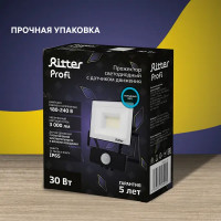 Прожектор светодиодный Ritter Profi 53421 5 30 Вт 3000 Лм 180-240В с датчиком движения холодный белый свет 6500К IP65 черный