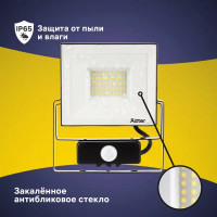 Прожектор светодиодный Ritter Profi 53422 2 50 Вт 5000 Лм 180-240В с датчиком движения холодный белый свет 6500К IP65 черный