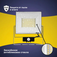 Прожектор светодиодный Ritter Profi 53423 9 70 Вт 7000 Лм 180-240В с датчиком движения холодный белый свет 6500К IP65 черный