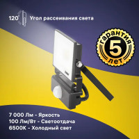 Прожектор светодиодный Ritter Profi 53423 9 70 Вт 7000 Лм 180-240В с датчиком движения холодный белый свет 6500К IP65 черный