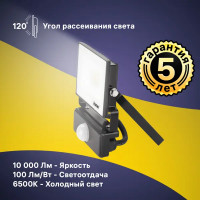 Прожектор светодиодный Ritter Profi 53424 6 100 Вт 10000 Лм 180-240 В с датчиком движения холодный свет 6500К IP65 черный