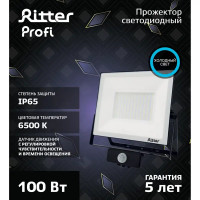 Прожектор светодиодный Ritter Profi 53424 6 100 Вт 10000 Лм 180-240 В с датчиком движения холодный свет 6500К IP65 черный
