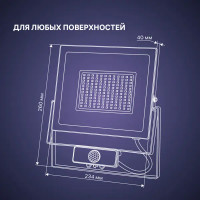 Прожектор светодиодный Ritter Profi 53424 6 100 Вт 10000 Лм 180-240 В с датчиком движения холодный свет 6500К IP65 черный