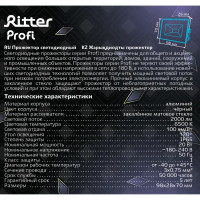 Прожектор светодиодный уличный Ritter Profi 53406 2 20 Вт 2000 Лм 180-240В холодный белый свет 6500К IP65 черный