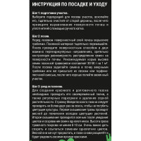 Семена газона Мавританский газон Аромат Востока 500г
