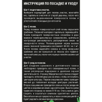 Семена газона Мавританский газон Душистая Лужайка 500г