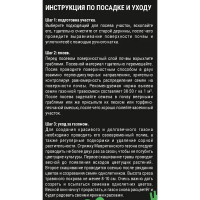 Семена газона Мавританский газон Для Бабочек 500г