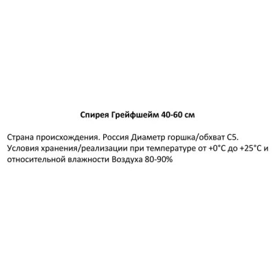 Спирея Грейфшейм ø22 h40-60 см