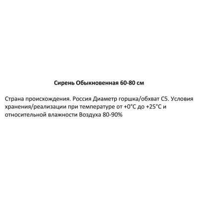 Сирень обыкновенная ø22.5 см h60-80 см