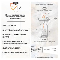 Спот поворотный встраиваемый Е51A.D55 1 лампа 2 м² цвет графит