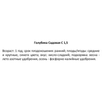 Голубика Спартан ø15 h35 см