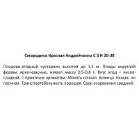 Смородина красная Андрейченко 20-30 см