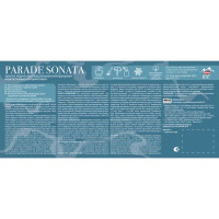 Краска для стен и потолков Parade Sonata Light Shine моющаяся полуматовая цвет белый база А 9 л