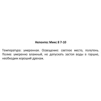 Непентес микс ø8 h7-10 см