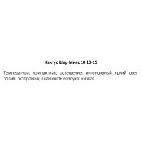 Кактус шар микс ø10 h10 см
