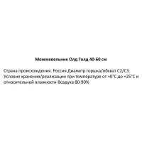 Можжевельник Пфицериана (средний) Олд Голд ø19 см h40-60 см