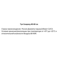 Туя западная Смарагд ø19 см h40-60 см