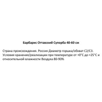 Барбарис Оттавский Суперба ø19 см h40-60 см