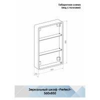 Шкаф зеркальный подвесной Perfect с подсветкой 56x85 см цвет черный