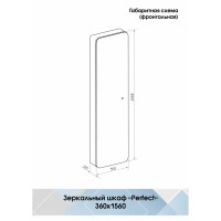 Шкаф зеркальный подвесной Perfect с подсветкой 36x156 см цвет черный