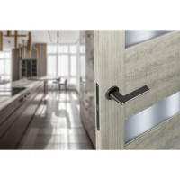 Дверные ручки Edson EDS-86B-R2, цвет графит