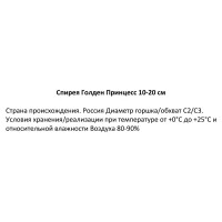 Спирея японская Голден Принцесс ø16.5 h10-20 см