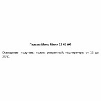 Пальма микс мини ø12 h45 см