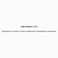 Кофе Арабика ø7 h20-25 см