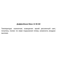 Диффенбахия микс ø12 h30-40 см