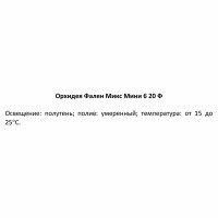 Орхидея Фаленопсис микс мини ø6 h20 см