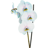 Орхидея Фаленопсис Чудо природы ø12 h70 см
