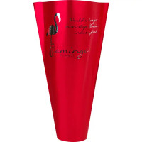 Антуриум Андреанум микс ø12 h30-40 см