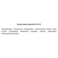 Растение в ассортименте микс цветной ø10 h10-15 см