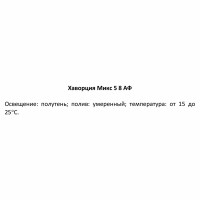 Хаворция микс ø5 h8 см