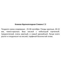 Клюква крупноплодная Стивенс ø17 h30 см