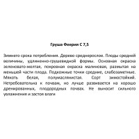 Груша Феерия ø25 h100 см