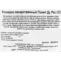 Розмарин лекарственный Поинт ду Раз ø17 h20 см