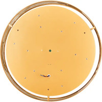 Светильник настенно-потолочный светодиодный 72 Вт с пультом управления 17 м² регулируемый цвет света цвет золотистый